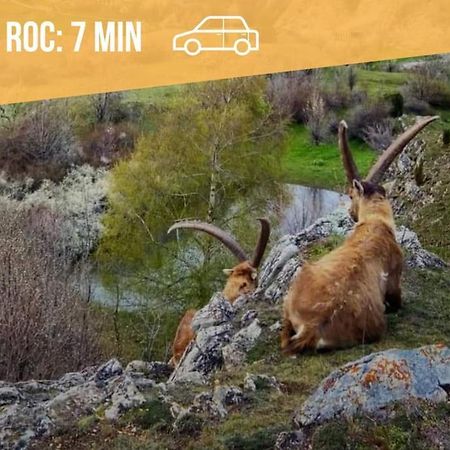 サン・ミッシェル・ド・モリエンヌAu Pied Des Cols Et Des Stationsアパートメント エクステリア 写真