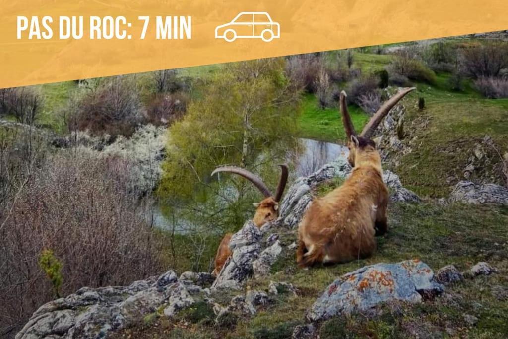 サン・ミッシェル・ド・モリエンヌAu Pied Des Cols Et Des Stationsアパートメント エクステリア 写真